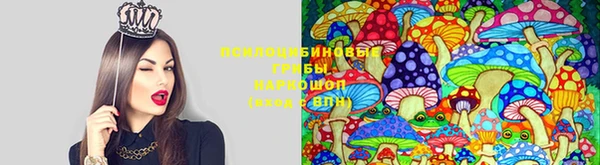 меф Алзамай