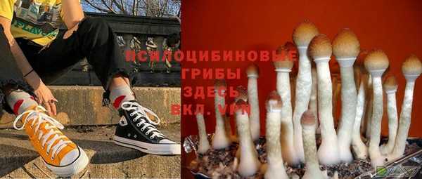 круглые Алексеевка