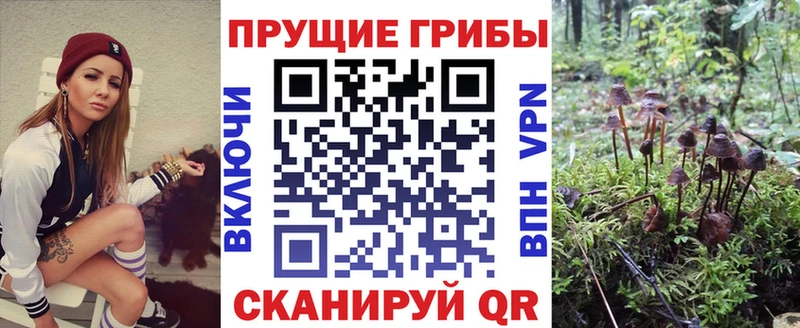 Псилоцибиновые грибы Cubensis  Заозёрный 